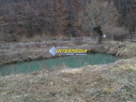 casa-de-vacanta-3000-mp-teren-4