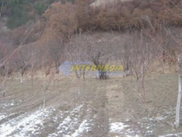 casa-de-vanzare-4600-mp-teren-zona-geoagiu-3