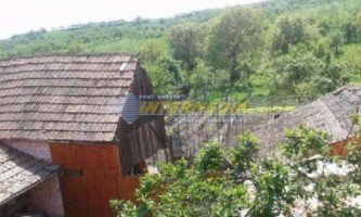 casa-de-vanzare-cu-1770-mp-teren-in-cricau-3
