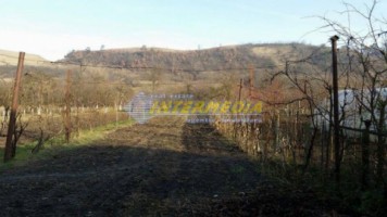 casa-de-vanzare-zona-pianu-2003-mp-teren-1