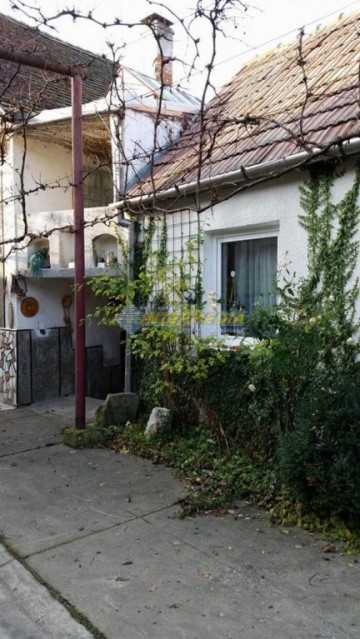 casa-de-vanzare-zona-pianu-2003-mp-teren-3