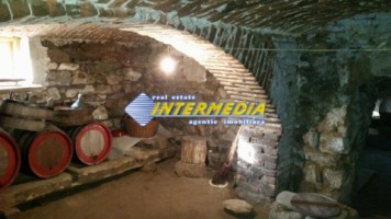 casa-de-vanzare-zona-pianu-2003-mp-teren-11