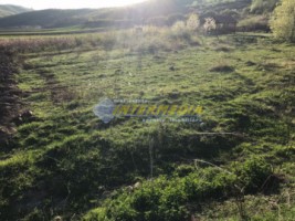 teren-intravilan-de-vanzare-in-sard-judet-alba-1200-mp