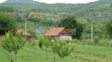 casa-de-vanzare-zona-periferie-cu-iaz-piscicol