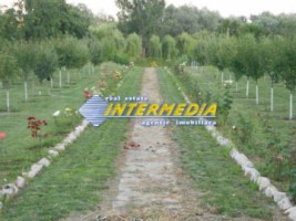 casa-de-vanzare-zona-periferie-cu-iaz-piscicol-8