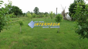 casa-de-vanzare-zona-periferie-cu-iaz-piscicol-6