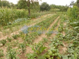 casa-de-vanzare-la-10-min-de-alba-iulia-9