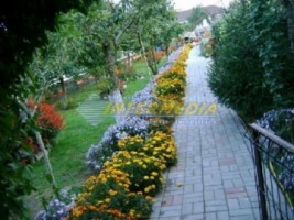 vila-cu-spatiu-com-vanzare-alba-dpem-zona-centrala-12
