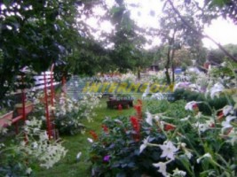 vila-cu-spatiu-com-vanzare-alba-dpem-zona-centrala-13