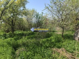 casa-de-vanzare-in-apropiere-de-alba-iulia-zona-drambar-7