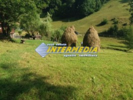 teren-extravilan-1941-mp-ideal-pentru-constructie-complex-turistic-3