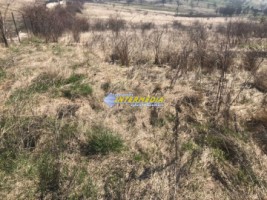 teren-intravilan-de-vanzare-1525-mp-cetate-schit