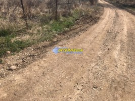 teren-intravilan-de-vanzare-1525-mp-cetate-schit-1
