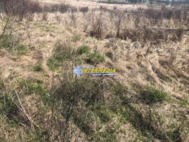 teren-intravilan-de-vanzare-1525-mp-cetate-schit-2