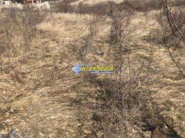 teren-intravilan-de-vanzare-1525-mp-cetate-schit-3