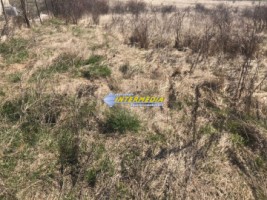 teren-intravilan-de-vanzare-1525-mp-cetate-schit-5