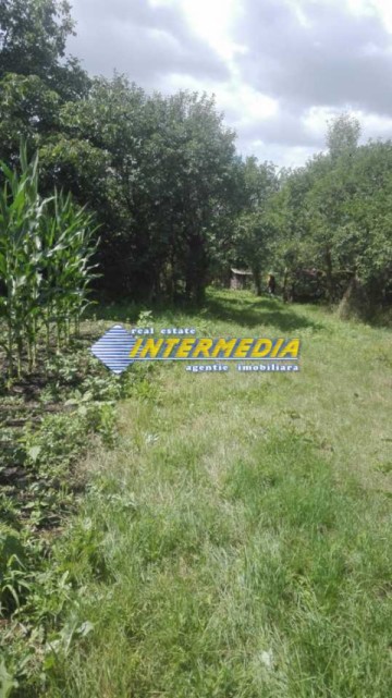 case-de-vanzare-cu-teren-de-6700-mp-in-hening-10