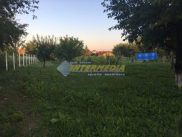 teren-intravilan-vanzare-1225-mpl21-ml-4