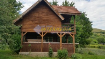 cabana-de-vanzare-si-pescarie-zona-sebes