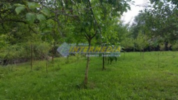cabana-de-vanzare-si-pescarie-zona-sebes-4