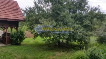 cabana-de-vanzare-si-pescarie-zona-sebes-8