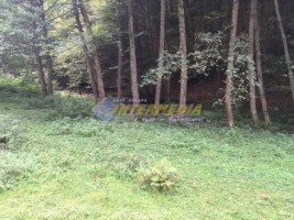 teren-vanzare-zona-strungari-suprafata-2835-mp