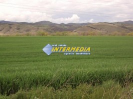 teren-de-vanzare-4000-mp-zona-vint-1