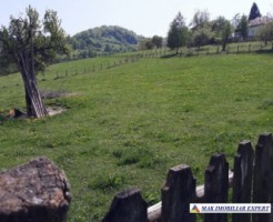 teren-intravilan-2600-mp-de-vanzare-rucar-arges-3
