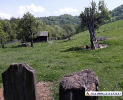 teren-intravilan-2600-mp-de-vanzare-rucar-arges-4