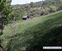 teren-intravilan-2600-mp-de-vanzare-rucar-arges-5