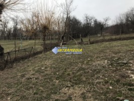 casa-de-vanzare-2-camere-teren-1500-mp-12