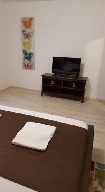 apartament-la-casa-cu-curte-de-inchiriat-in-sibiu-zona-calea-poplacii-1