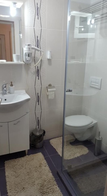 apartament-la-casa-cu-curte-de-inchiriat-in-sibiu-zona-calea-poplacii-10