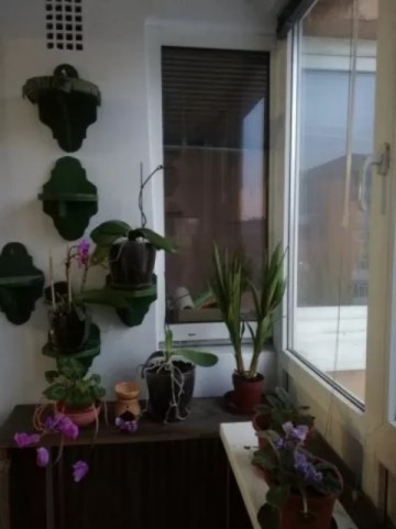 apartament-cu-2-camere-in-zona-mall-plaza-2