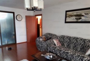2-camere-pajura-6