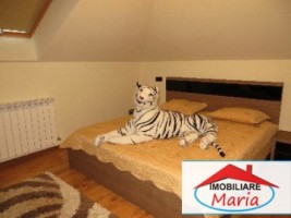 casa-de-vanzare-paulesti-id-20291-7