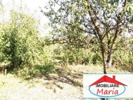 casa-de-vanzare-zona-draxelmeyer-id-20028-1