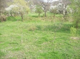 teren-7852-mp-intravilan-de-vanzare-apa-sarata-campulung-muscel-arges