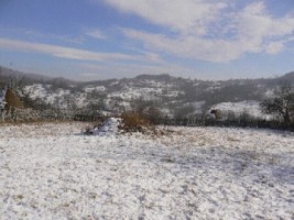 vand-teren-extravilan-1200-mp-in-albestii-de-muscel-arges