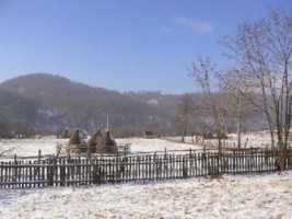 vand-teren-extravilan-1200-mp-in-albestii-de-muscel-arges-5