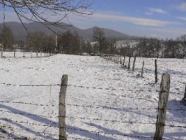 teren-extravilan-1000-mp-de-vanzare-in-albestii-de-muscel-arges