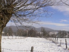 teren-extravilan-1000-mp-de-vanzare-in-albestii-de-muscel-arges-1