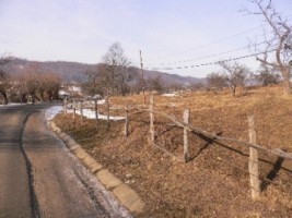teren-intravilan-2000-mp-in-albestii-de-muscel-oportunitate-pentru-proiecte-rezidentiale-4