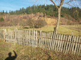 teren-intravilan-7500-mp-de-vanzare-in-leresti-potential-pentru-dezvoltari-rezidentiale-sau-investitii-1