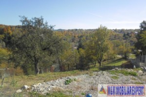 teren-5000-mp-intravilan-de-vanzare-in-albestii-de-muscel-arges-1