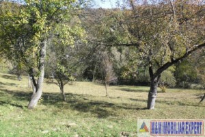 teren-5000-mp-intravilan-de-vanzare-in-albestii-de-muscel-arges-4
