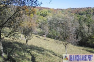 teren-5000-mp-intravilan-de-vanzare-in-albestii-de-muscel-arges-9