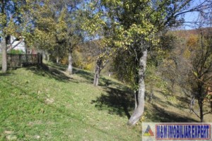 teren-5000-mp-intravilan-de-vanzare-in-albestii-de-muscel-arges-6