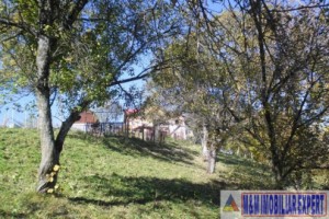 teren-5000-mp-intravilan-de-vanzare-in-albestii-de-muscel-arges-11