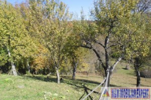 teren-5000-mp-intravilan-de-vanzare-in-albestii-de-muscel-arges-12